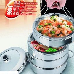 multi-function steamer